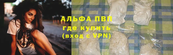 PSILOCYBIN Карпинск