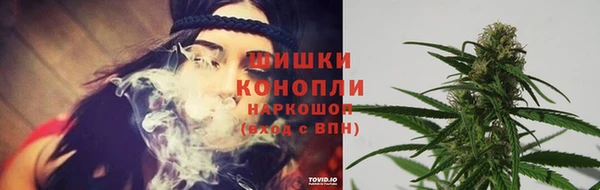 дживик Кинешма