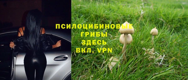 альфа пвп Щёлкино