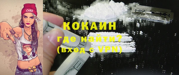 дживик Кинешма