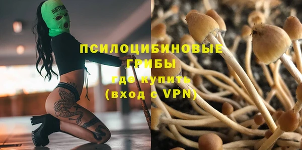 PSILOCYBIN Карпинск