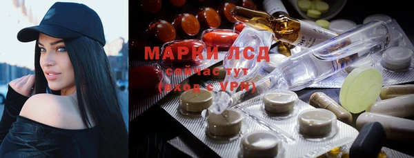 PSILOCYBIN Карпинск