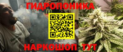 скорость Новодвинск