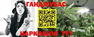 крисы Новокубанск