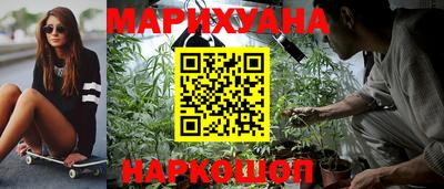 прущие грибы Новозыбков