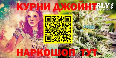 крисы Новокубанск