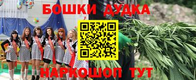 скорость Новодвинск