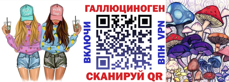 Псилоцибиновые грибы Psilocybine cubensis  Смоленск 