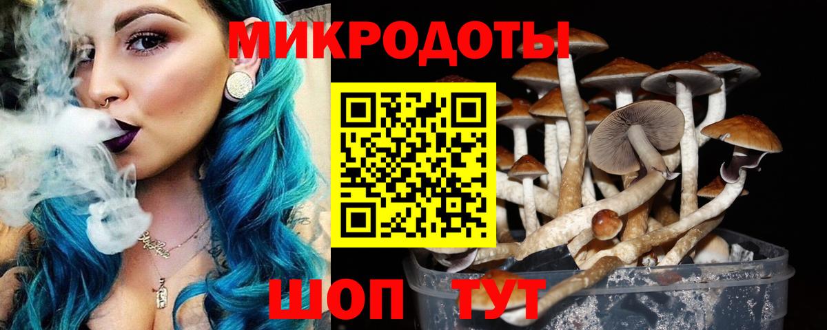 Псилоцибиновые грибы мицелий  Псилоцибиновые грибы мухоморы  Вход с VPN  где купить наркоту  Смоленск 