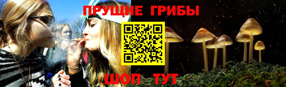Псилоцибиновые грибы прущие грибы Смоленск